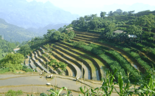 Hình ảnh: Viện Kinh Tế Và Pháp Luật Quốc Tế nghiên cứu  tiềm năng vùng nguyên liệu sản xuất hàng nông sản của vùng đất và con người vùng cao Việt Nam số 3