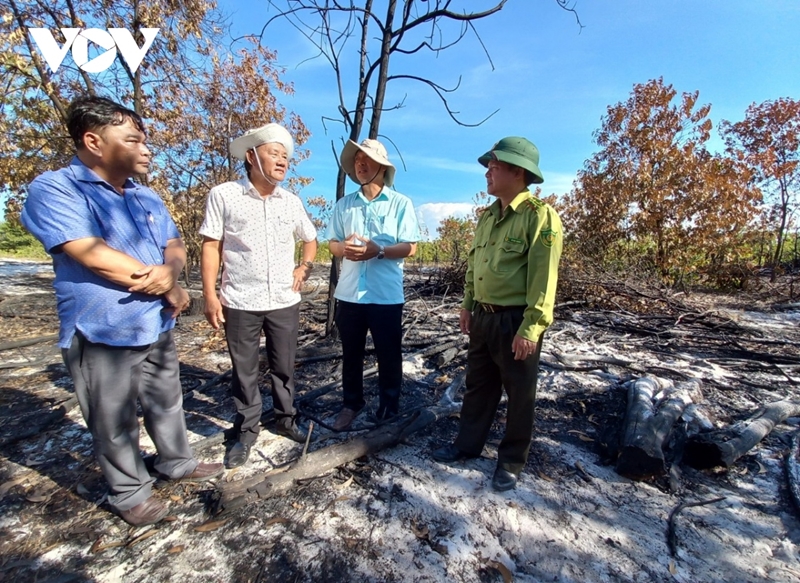 Hình ảnh: Liên tiếp xảy ra cháy rừng phòng hộ ven biển Quảng Nam số 1