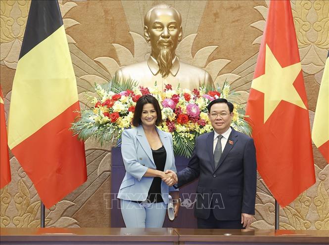 Hình ảnh: Chủ tịch Thượng viện Bỉ kết thúc tốt đẹp chuyến thăm chính thức Việt Nam số 1