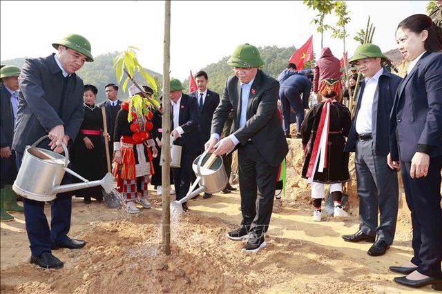 Hình ảnh: Chủ tịch Quốc hội dự Lễ phát động thi đua và Tết trồng cây tại Tuyên Quang số 2