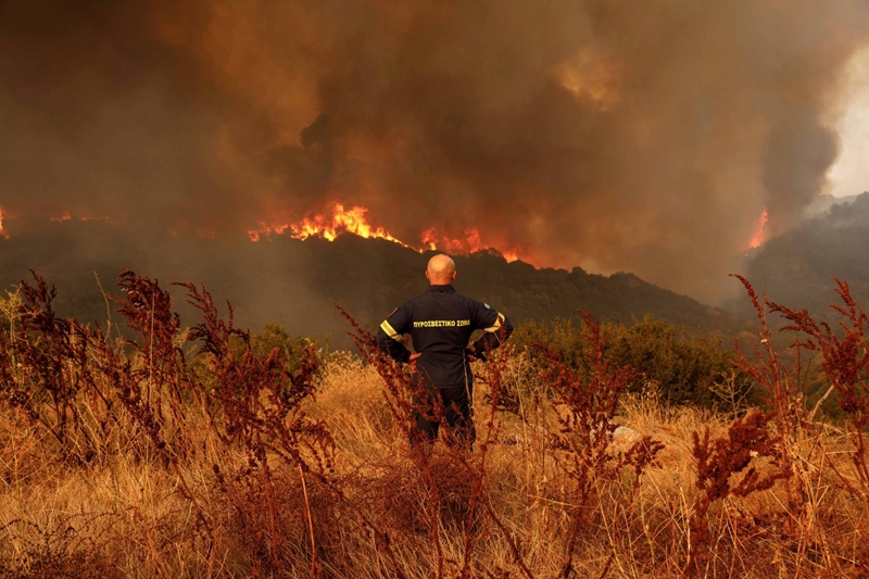 Hình ảnh: Châu Âu vừa trải qua đợt cháy rừng tồi tệ nhất thế kỷ số 1