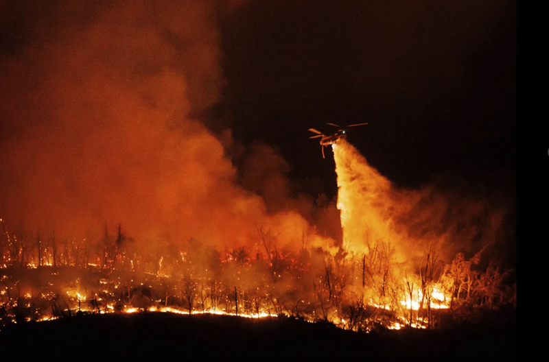 Hình ảnh: Mỹ: Cháy rừng nghiêm trọng tại California, khoảng 26.000 người phải sơ tán số 1