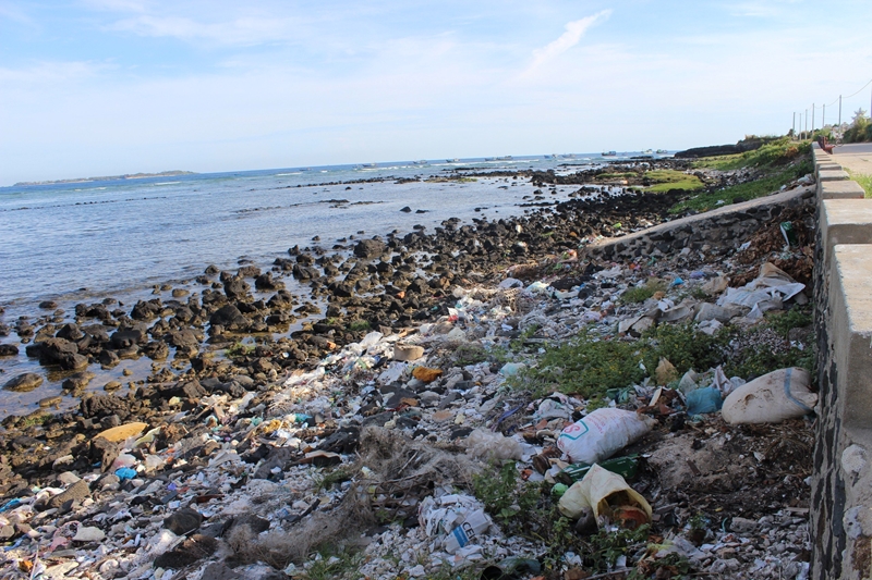 Hình ảnh: Chung tay giải quyết thách thức toàn cầu về ô nhiễm nhựa số 1