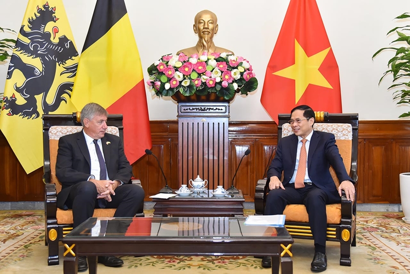 Hình ảnh: Hợp tác kinh tế là trụ cột quan trọng trong quan hệ Việt Nam - Bỉ số 2
