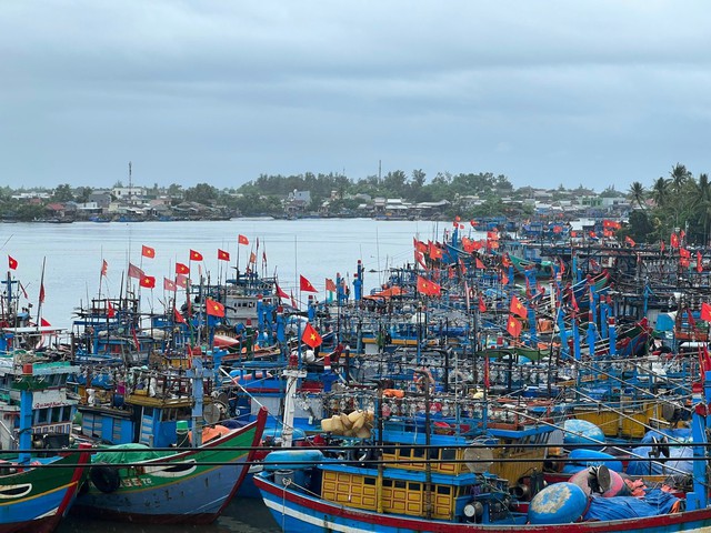 Hình ảnh: Vi phạm lĩnh vực thủy sản, một chủ tàu cá Quảng Ngãi bị phạt hơn 850 triệu đồng số 1