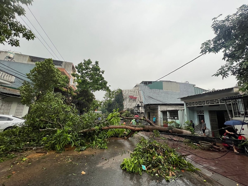 Hình ảnh: Mưa lớn kèm theo dông lốc gây nhiều thiệt hại tại Lào Cai số 1