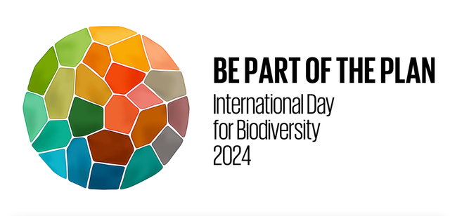 Hình ảnh: Hưởng ứng Ngày Quốc tế đa dạng sinh học năm 2024 số 1