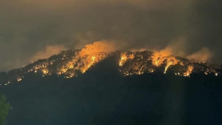 Hình ảnh: 10 ha rừng thông bị ảnh hưởng sau vụ cháy trên đèo Prenn Đà Lạt số 1