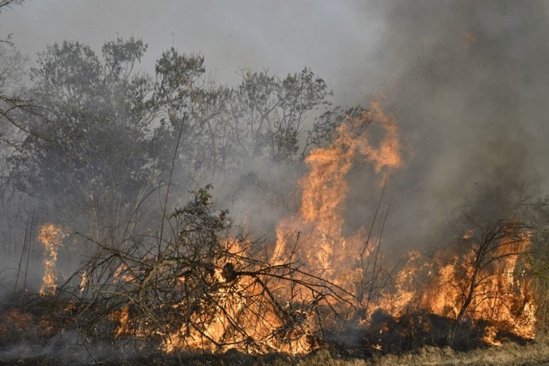 Hình ảnh: Hàng nghìn trường học ở Bolivia phải đóng cửa do cháy rừng số 1