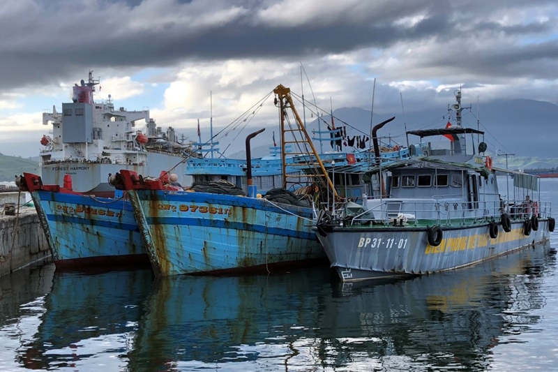 Hình ảnh: Thừa Thiên Huế: Bắt giữ hai tàu cá đánh bắt hải sản trái phép số 1