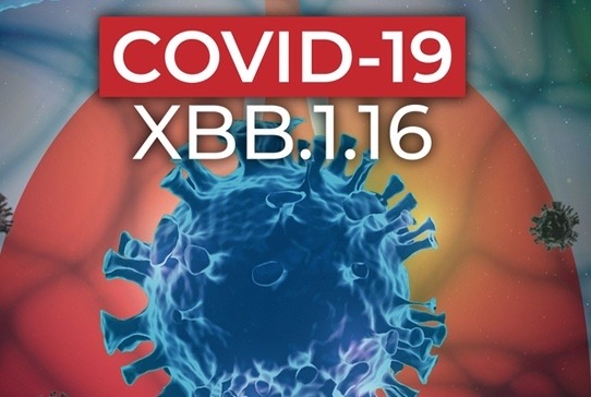 Hình ảnh: Biến thể COVID-19 mới XBB.1.16 gây ra các bệnh về mắt số 1