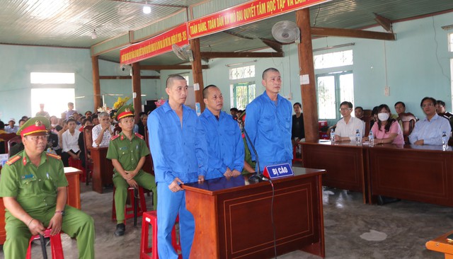 Hình ảnh: 21 năm tù cho 3 đối tượng phá rừng quy mô lớn ở Kon Tum số 1