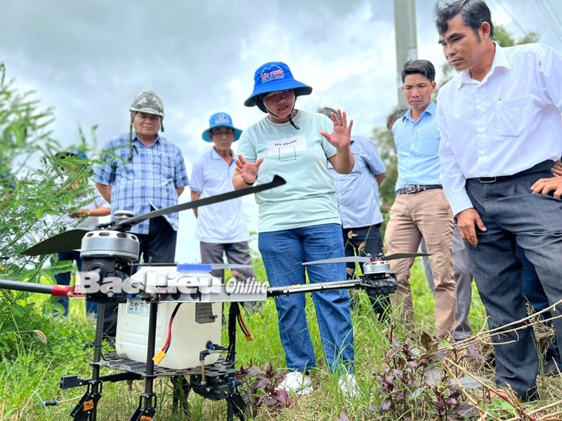 Hình ảnh: Bạc Liêu: Khuyến khích nông dân canh tác lúa theo hướng ứng dụng công nghệ cao số 1