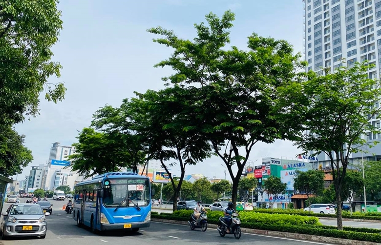Hình ảnh: TP Hồ Chí Minh tăng cường bảo đảm trật tự an toàn giao thông dịp cuối năm số 1