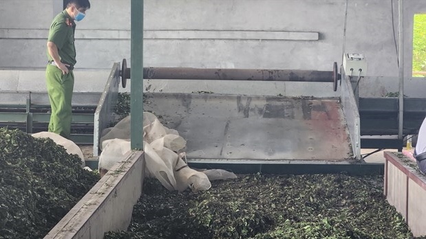 Hình ảnh: Người tử vong khi vận hành máy cuốn chè tại Hòa Bình số 1