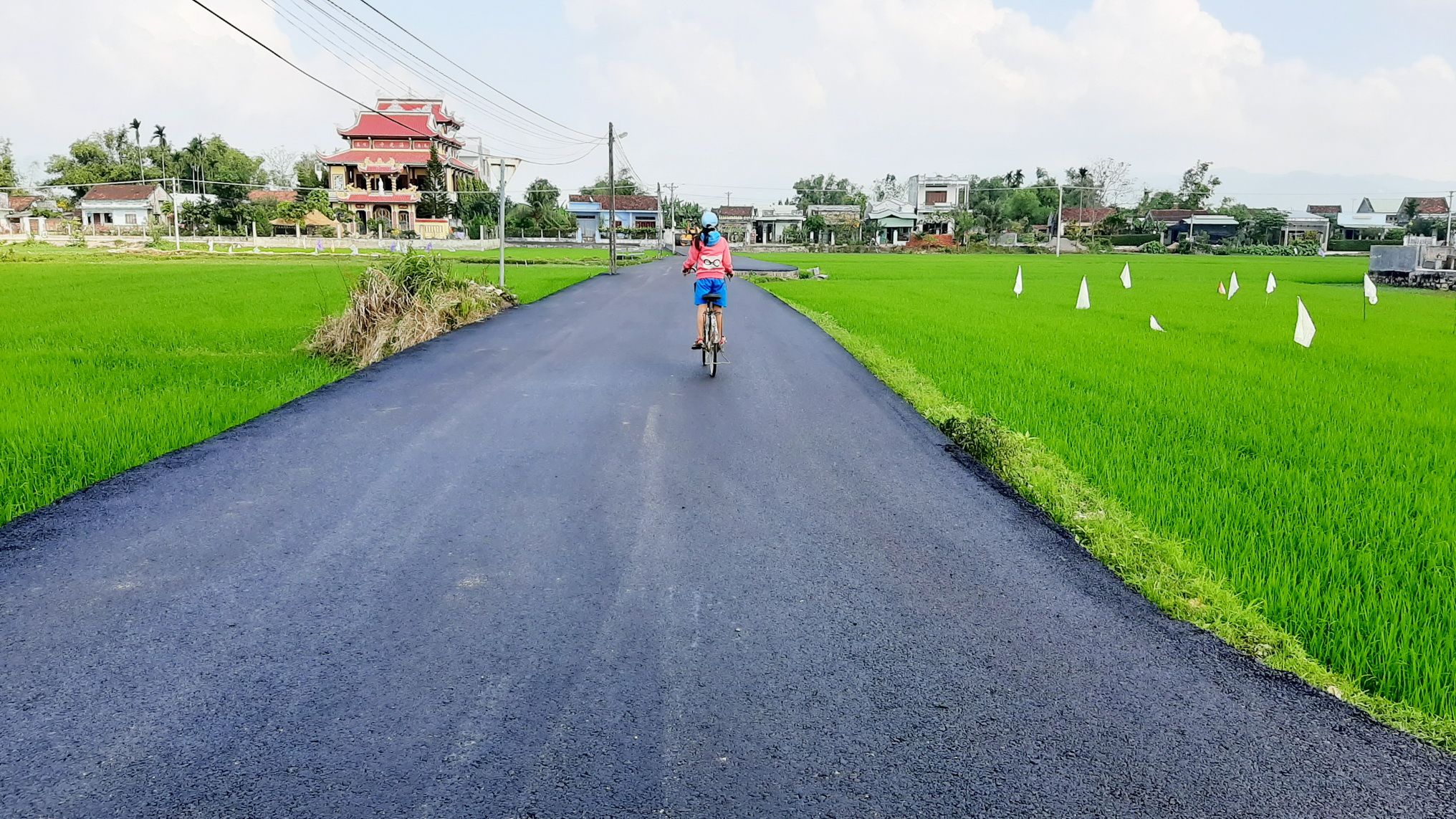 Hình ảnh: Huyện Tuy Phước (Bình Định) đạt chuẩn nông thôn mới số 1