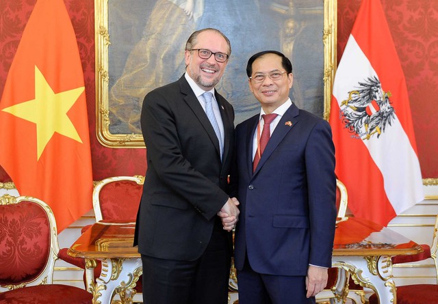Hình ảnh: Bộ trưởng Ngoại giao Bùi Thanh Sơn gặp Bộ trưởng Ngoại giao Áo số 1