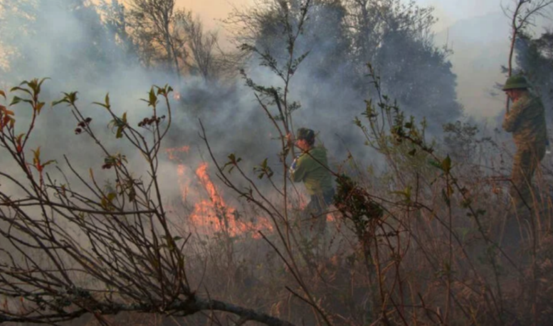 Hình ảnh: Lào Cai: Huy động gần 500 người chữa cháy rừng tại Vườn quốc gia Hoàng Liên số 2