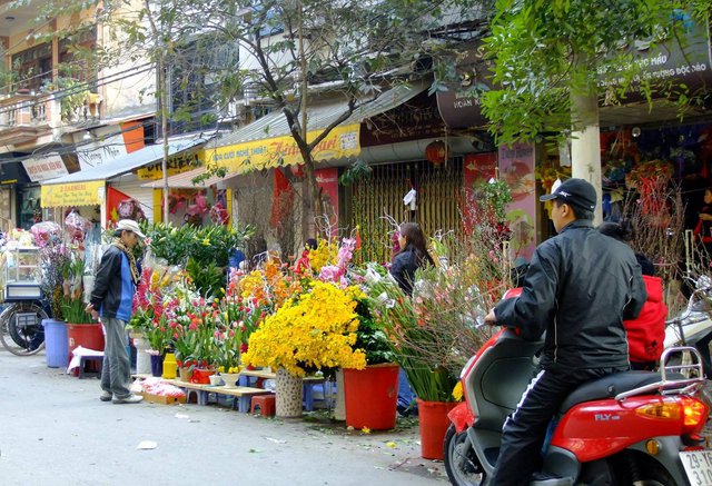 Hình ảnh: Phân luồng giao thông phục vụ chợ hoa Xuân tại quận Hoàn Kiếm số 1