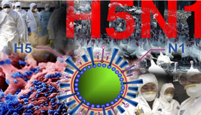 Hình ảnh: Bộ Y tế thông tin về trường hợp tử vong do mắc cúm A/H5N1 tại Khánh Hòa số 1