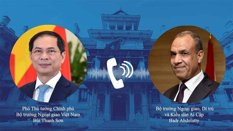 Hình ảnh: Nâng cao hiệu quả các cơ chế hợp tác song phương Việt Nam - Ai Cập số 1