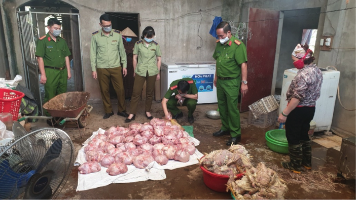 Hình ảnh: Nghiên cứu pháp luật: Tỉnh Thái Nguyên phát hiện hơn 3 tấn gà thịt đã bốc mùi hôi thối và 250 ký sản phẩm động vật không rõ nguồn gốc chuẩn bị bán ra thị trường. số 1