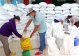 Xuất gạo từ nguồn dự trữ quốc gia hỗ trợ người dân 9 tỉnh