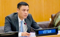 Việt Nam sẽ tiếp tục đóng góp tích cực cho công việc của UNDP