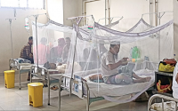 Bangladesh ghi nhận hơn 900 ca tử vong vì sốt xuất huyết