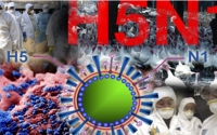 Bộ Y tế thông tin về trường hợp tử vong do mắc cúm A/H5N1 tại Khánh Hòa