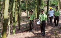 Phát huy hiệu quả phương châm “4 tại chỗ” trong chữa cháy rừng ở Sa Pa