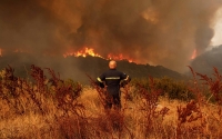 Châu Âu vừa trải qua đợt cháy rừng tồi tệ nhất thế kỷ