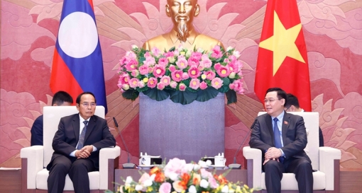 Không ngừng vun đắp và củng cố quan hệ đặc biệt Việt Nam - Lào