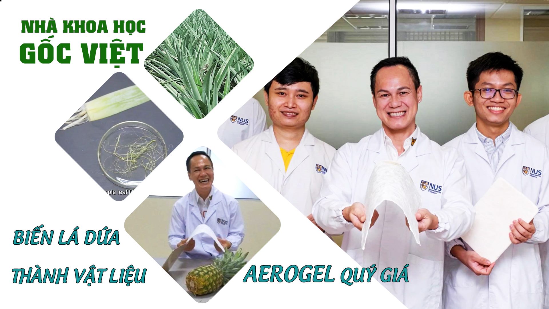 Nhà khoa học gốc Việt biến lá dứa thành vật liệu AEROGEL quý gia