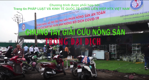 Giải cứu nông sản