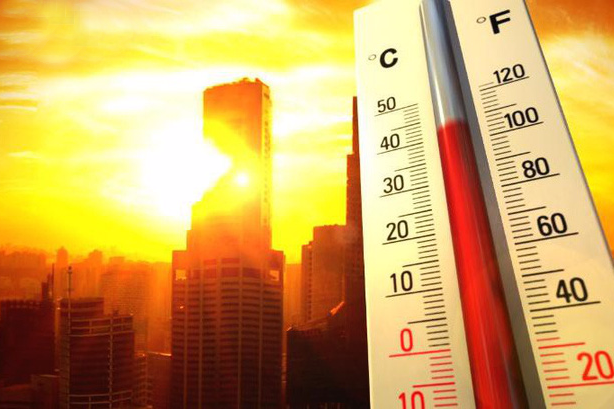 Nắng nóng gây tổn thất nghiêm trọng trên toàn cầu