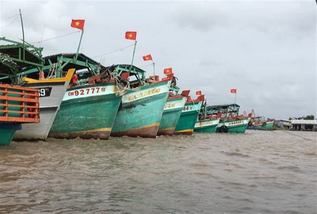 Bến Tre tăng cường giải pháp quản lý khai thác hải sản bất hợp pháp