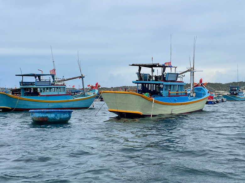 Tàu chở hàng chìm trên vùng biển Bình Thuận, hai thuyền viên mất tích