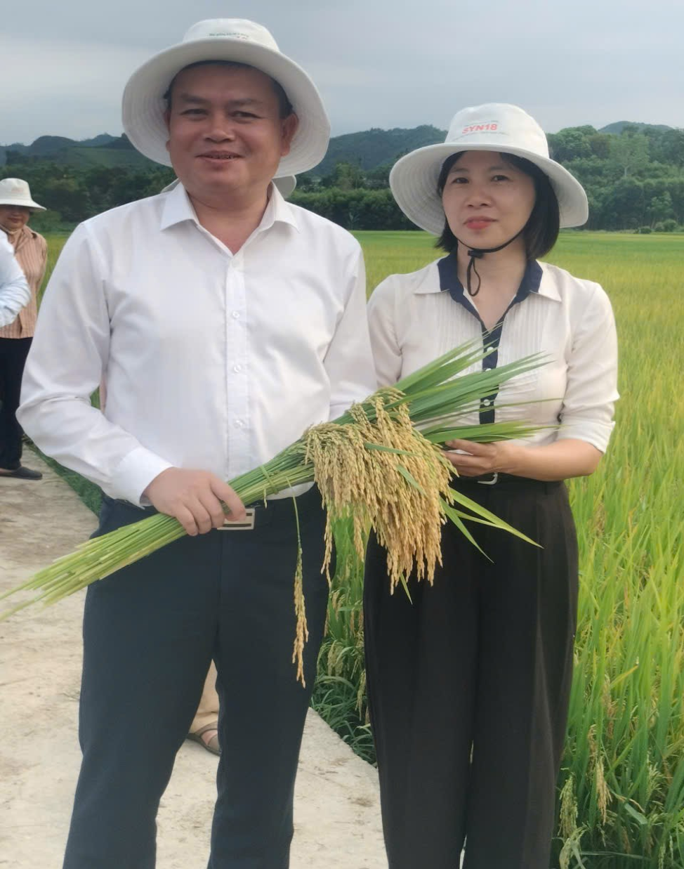Hình ảnh: ĐÁNH GIÁ HIỆU QUẢ KINH TẾ GIỐNG LÚA LAI SYN18 TẠI NGHỆ AN: CƠ SỞ CHO CHIẾN LƯỢC NÔNG NGHIỆP BỀN VỮNG số 3