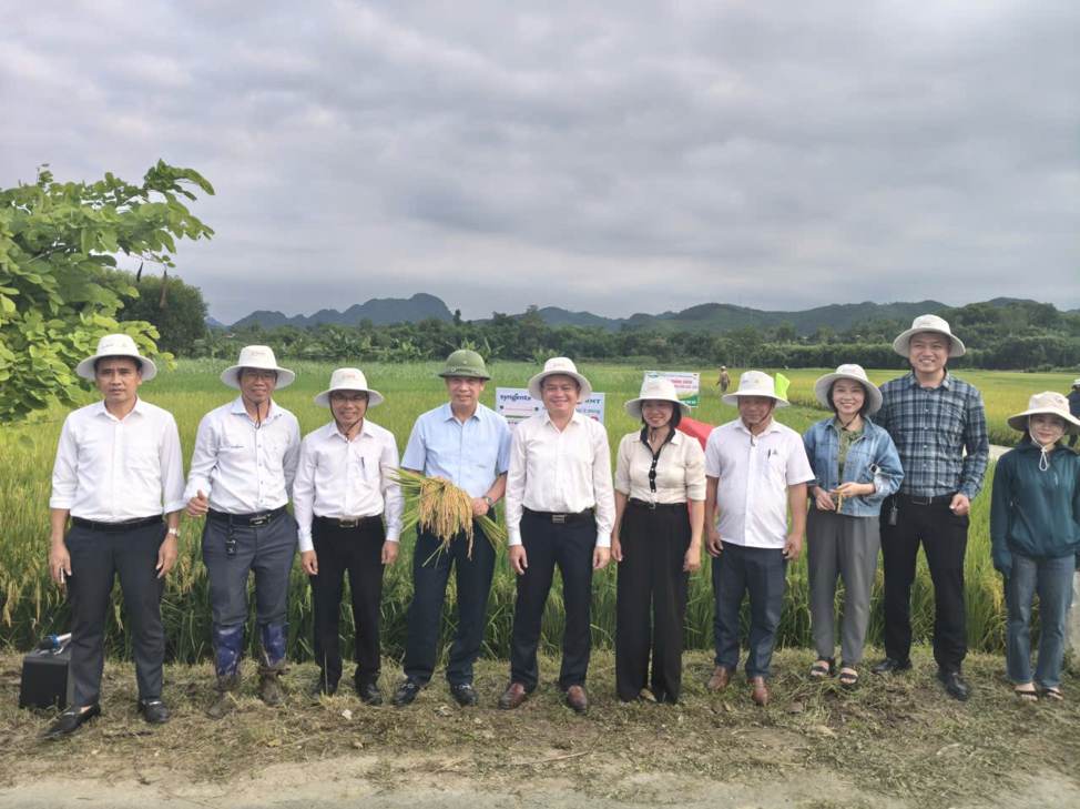 Hình ảnh: ĐÁNH GIÁ HIỆU QUẢ KINH TẾ GIỐNG LÚA LAI SYN18 TẠI NGHỆ AN: CƠ SỞ CHO CHIẾN LƯỢC NÔNG NGHIỆP BỀN VỮNG số 5